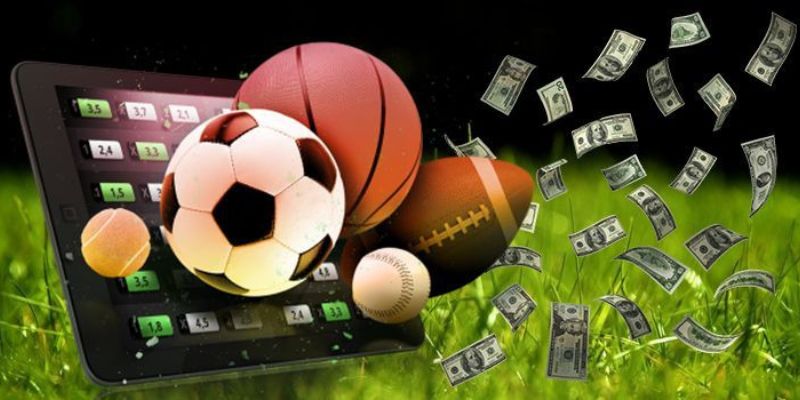 Thể Thao Vsbet mở rộng lựa chọn theo từng bộ môn