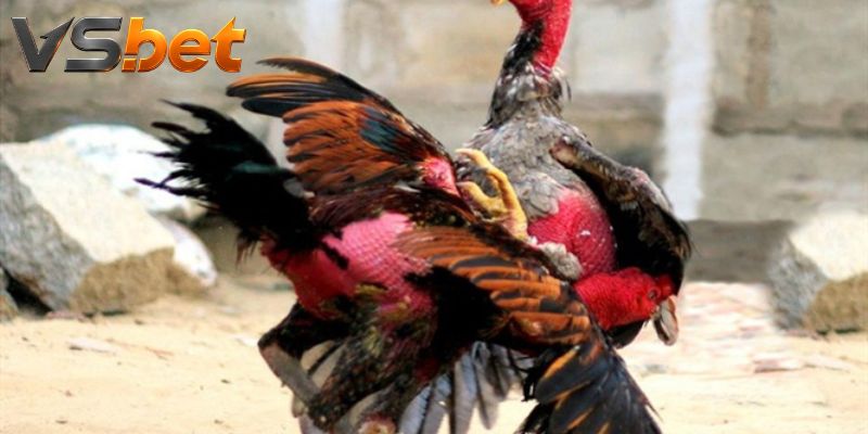 Độ bền cuối trận làm cán cân cửa thắng thay đổi rõ ràng