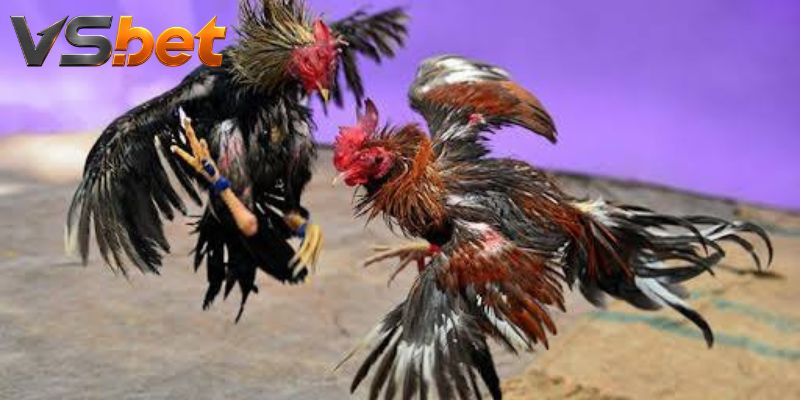 Khả năng đổi góc làm thế trận cùng tỷ lệ biến động